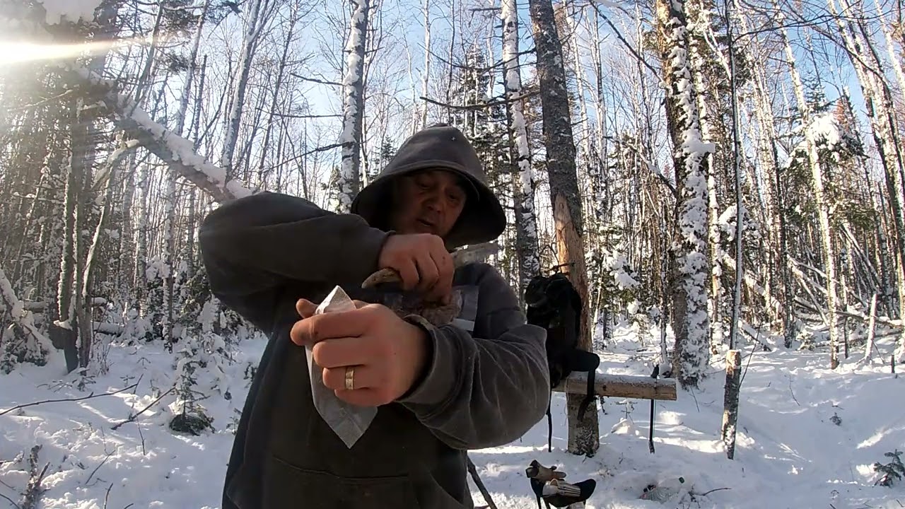 sortie en foret  feux hydratation de chili