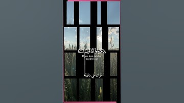 قران كريم ارح قلبك وسمعك #quran #قران_في_دقيقة #المصحف #قران #بدر_التركي @قران_في_دقيقة