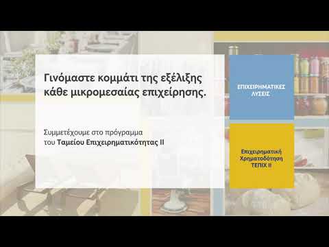 ΕΠΙΧΕΙΡΗΜΑΤΙΚΗ ΧΡΗΜΑΤΟΔΟΤΗΣΗ –