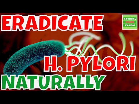 h-pylori-how-to-completely-eradicate-them-off-your-gut