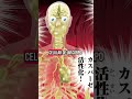 O 13 cavaleiro de ouro #saintseiya #saintseiyaforever #cdz
