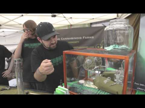 2013 Seattle US Cannabis Cup -- Day One