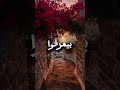 #النظافه