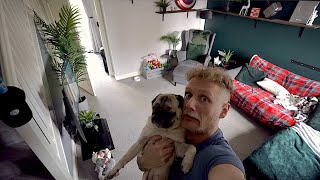 Everything Has Moved!
Things are looking a bit different around the house these days ..
Give us a thumbs up if you enjoyed the video and Subscribe if youre not already!
Patreon - https://www.patreon.com/thatpugpablo
Instagram - https://www.instagram.com/thatpugpablo/
Licence;
Intro/Outro Music;
Get Outside! - Jason Farnham: https://youtu.be/x1T6QFpd0J4 Everything Has Moved!