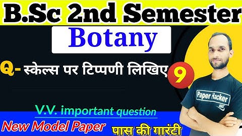 Write a note on Scales, Scales, Bsc 2nd semester Botany, Paper Hacker