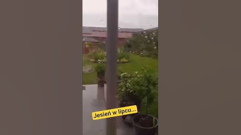 JULY AUTUMN @szalejemyisiejemy