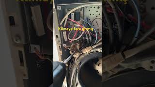 Klimaya Fare Girmiş