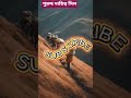পুরুষ দায়িত্ব সিল