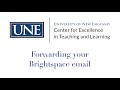 Forwarding your Brightspace email to your UNE account