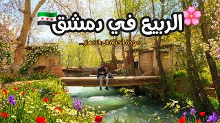 عودة الحياة الى انهار مدينة دمشق جولة الربيع في مصايف المدينة عين الفيجة والربوة 