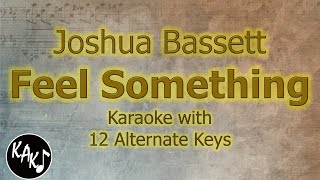 Feel Something Karaoke - Joshua Bassett Instrumental Lower Higher Female Original Key