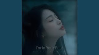 Never Looked Back