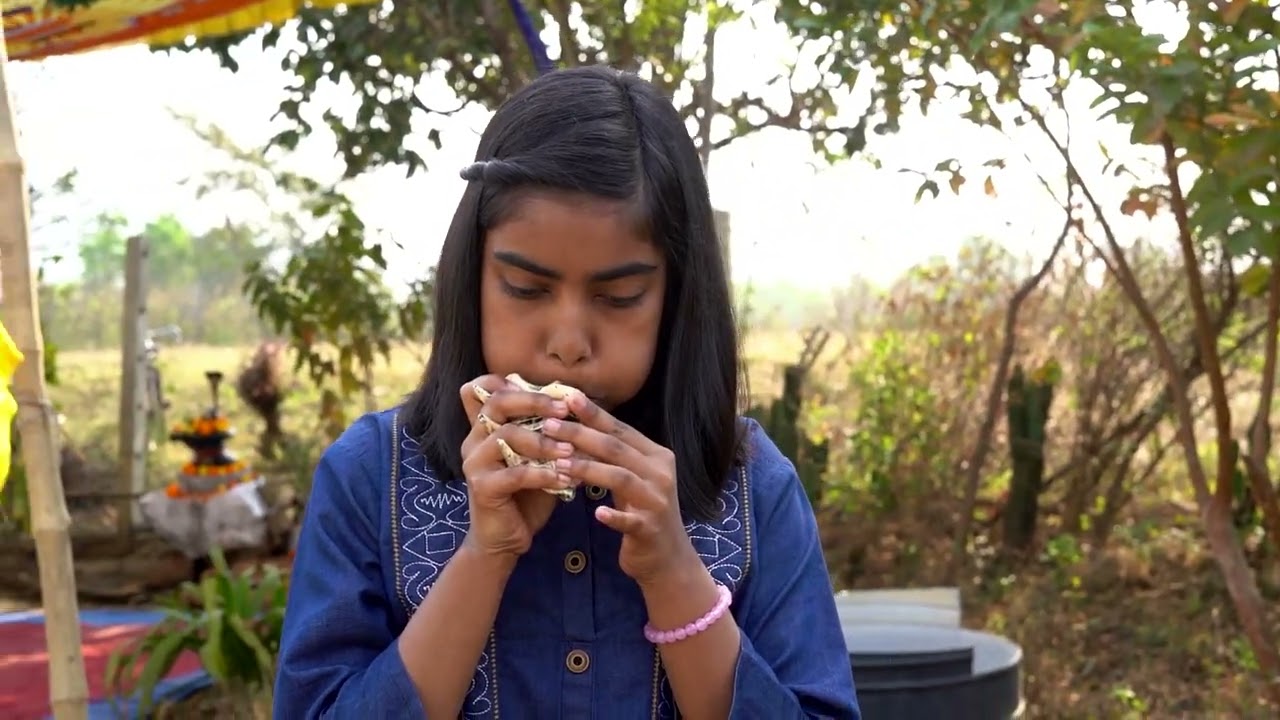 Dev Sanskriti Vishwavidyalaya Dr Chinmaya Pandaya visit Gayatri chetna Kendra beko jsr