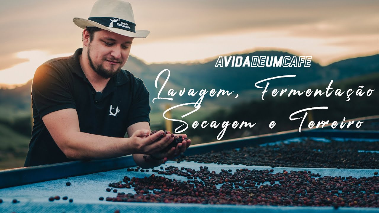 A Vida de um Café - Lavagem, Fermentação, Secagem e Terreiro (ft. Ivan Solis)
