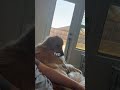 I not stinking up the couch you are 🐾🤣 #goldenretriever #dog #cosmo #funnydogvideos