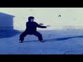 Master Steve Baugh -  Kung Fu foundation work