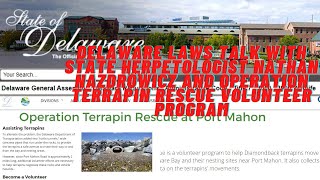 Delaware Laws talk with Nathan Nazdrowicz and Operation Terrapin Rescue Volunteer program