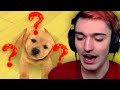 Speedrunning Nintendogs was a mistake