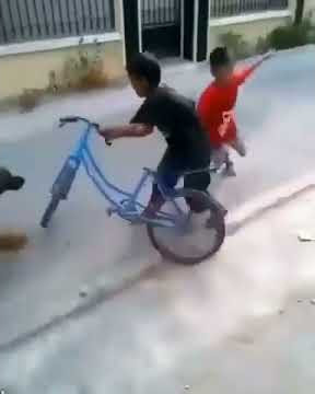 Video Lucu Anak Kecil dikejar Anjing #shorts