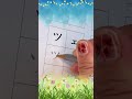 How to Write Katakana 31-ツァツィツェツォ (tsatsitsetso) - Japanese Alphabet