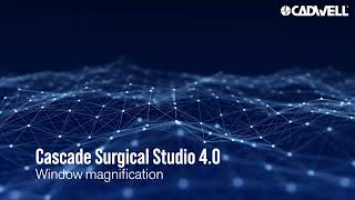 CSS 4.0 - Window magnification