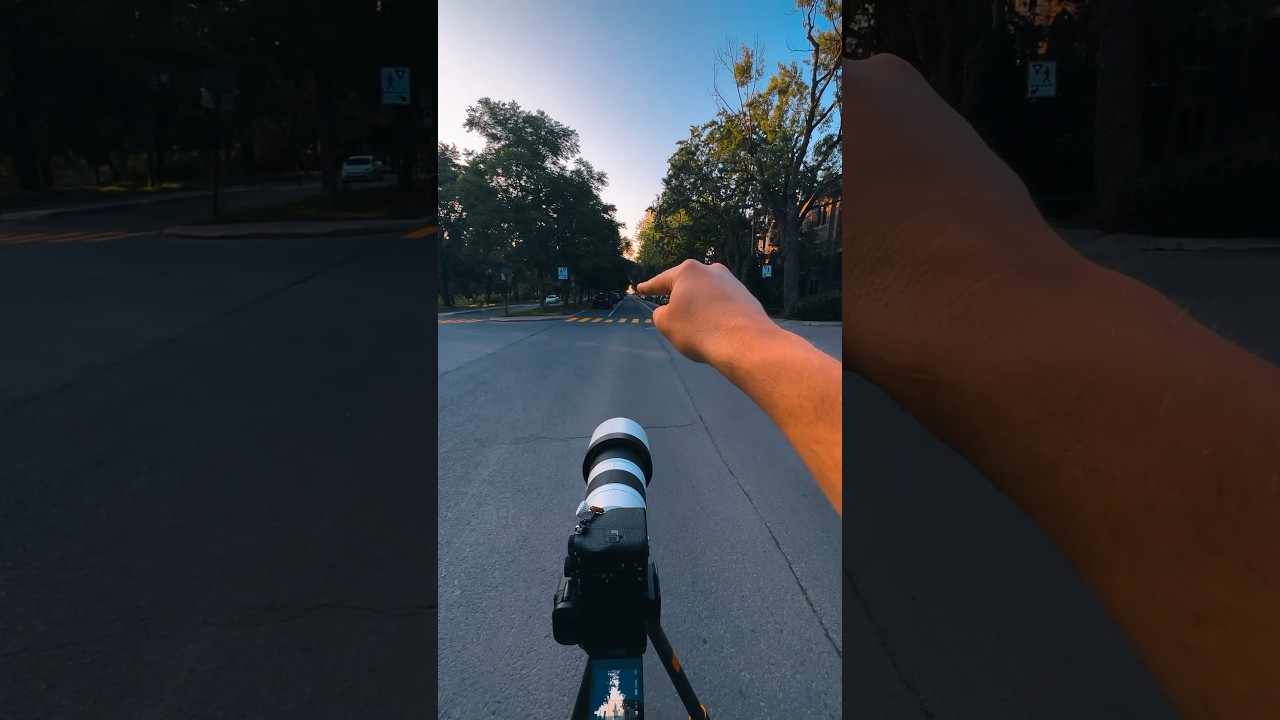 Sony 200-600mm lens 😳 the #photography #telephoto #sonyalpha