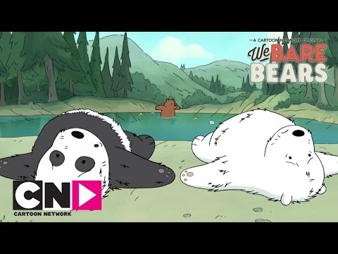 Picnic | Aventurile fraţilor urşi | Cartoon Network