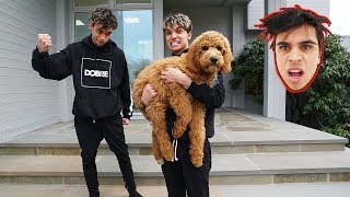 WE STOLE OUR BROTHER'S PUPPY!