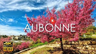 Download lagu The most beautiful botanical garden in Switzerland 🇨🇭 Aubonne's Blooming Beauty: Spring Walking Tour