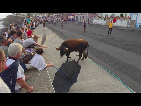 Tourada à corda em São Mateus, 10 de outubro de 2026