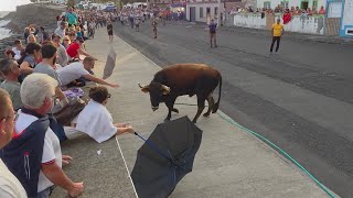 Tourada à corda em São Mateus, 10 de outubro de 2026