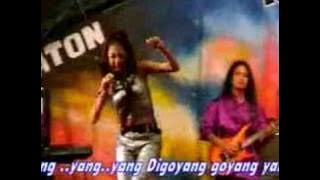 dangdut sanova hello dangk..