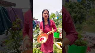 सबह नहन क बद क मर रटन House Cleaning Vlog Indian Mom Saree Indian Vlog 