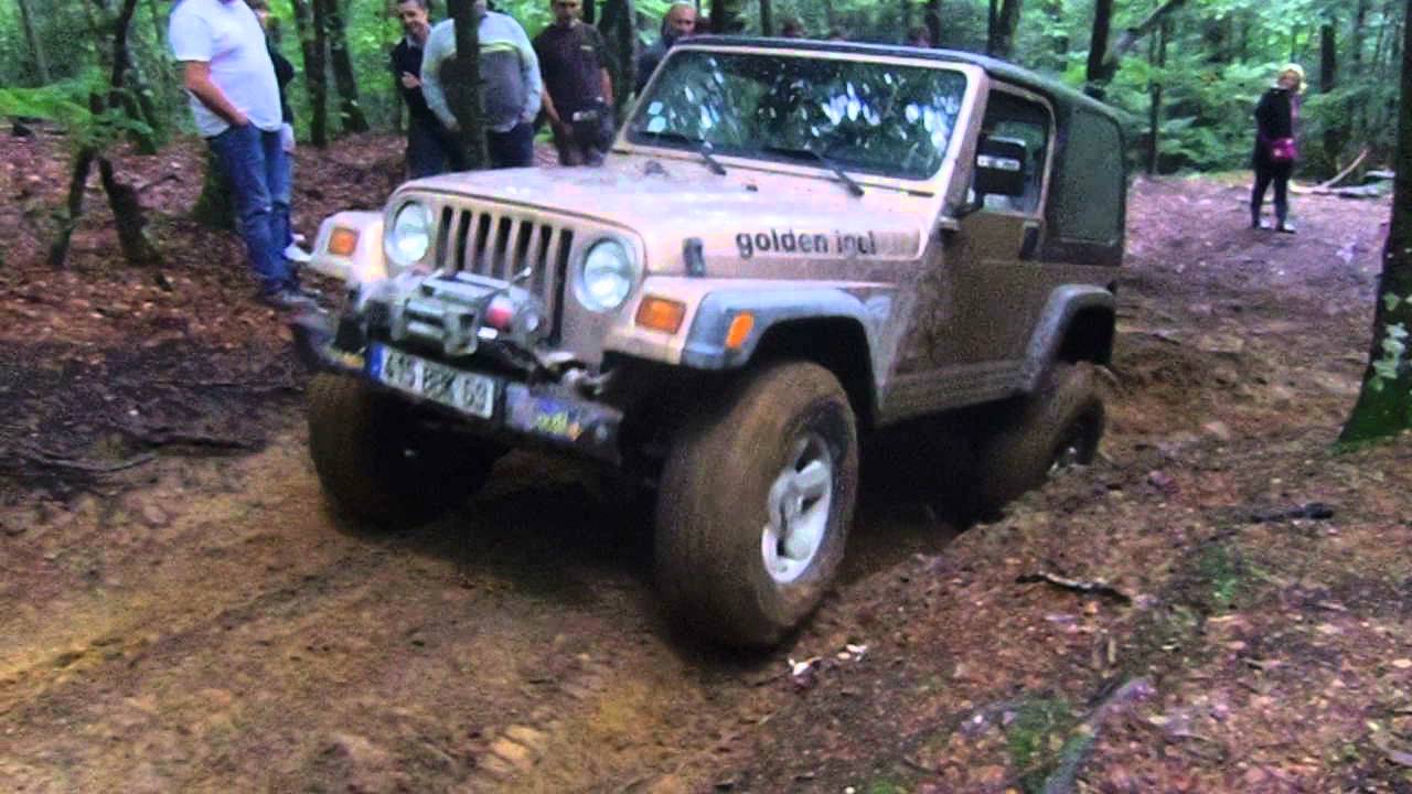 Les Bois Noirs 2013 IMGP8586