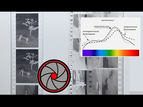 Видео: Что такое панхроматическая пленка в фотографии?
