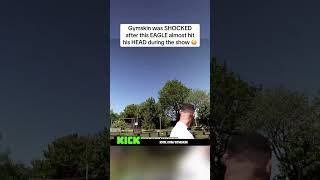 Gymskin was SHOCKED after this EAGLE almost hit his HEAD during the show 😳 #gymskin #fyp