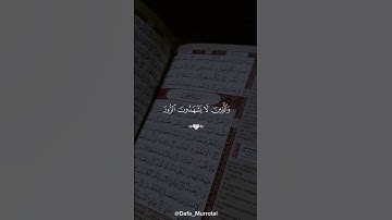 ألا بذكر الله تطمئن القلوب 🤍ألا بذكر الله تطمئن القلوب 🤍تدبروا الآيات 🤍 #قران #تلاوة_خاشعة #quran