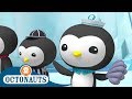 Octonauts - Peso's Big Race | Full Episodes | Cartoons for Kids