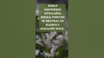 Did you know this about #weeds ? #farming #soilhealth