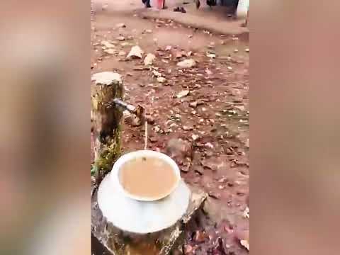 क्या भाजपा के मंत्री और अधिकारी खुद अपने परिवार के साथ ऐसा पानी पी सकते हैं?