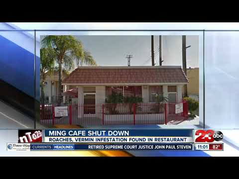 Ming's Cafe in Bakersfield shut down to vermin infestation