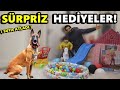 SÜRPRİZ HEDİYELER! BELÇİKA KURDU LUCKY SUYA ATLADI!