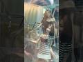 베이비몬스터 SBS 컬투쇼 퇴근길 실물 느낌 (260617) #베이비몬스터 #babymonster #