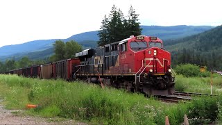 Canadian National Coal Train - Vavenby, BC (July 6th, 2022)
