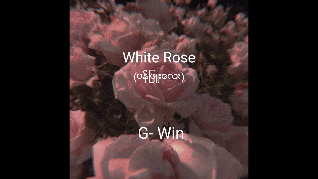  White Rose   G Win   New Songs myanmar lyrics