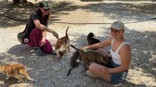 Nina and Lisa is Back at the Shelter to Help! ❤️ - Takis Shelter