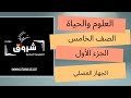 الصف الخامس العلوم والحياة الجهاز العضلي