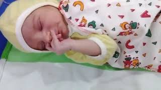 Cute Baby Cute Baby Videos Cute Baby Status Cute Baby Girl