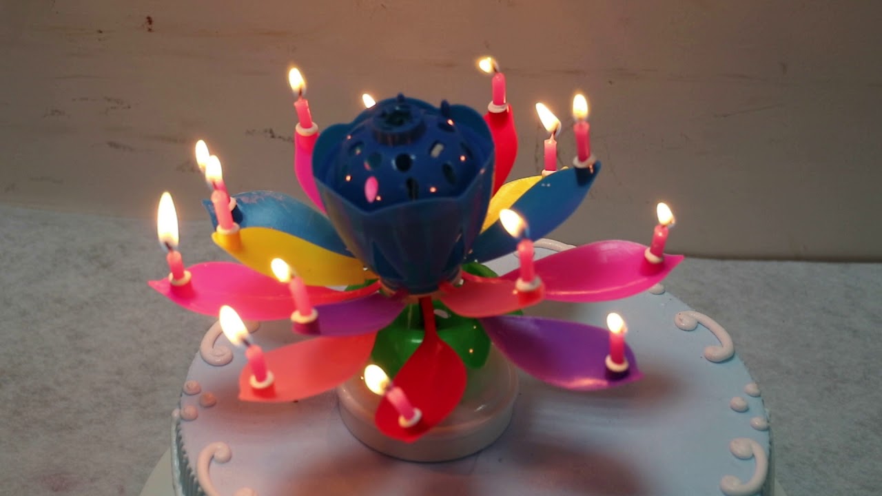14pcs candle rainbow rotating lotus music birthday candle YouTube