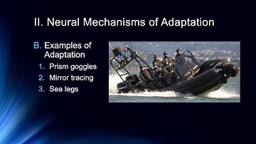 Cog Neuro Lecture # - Learning   Performing New Skills